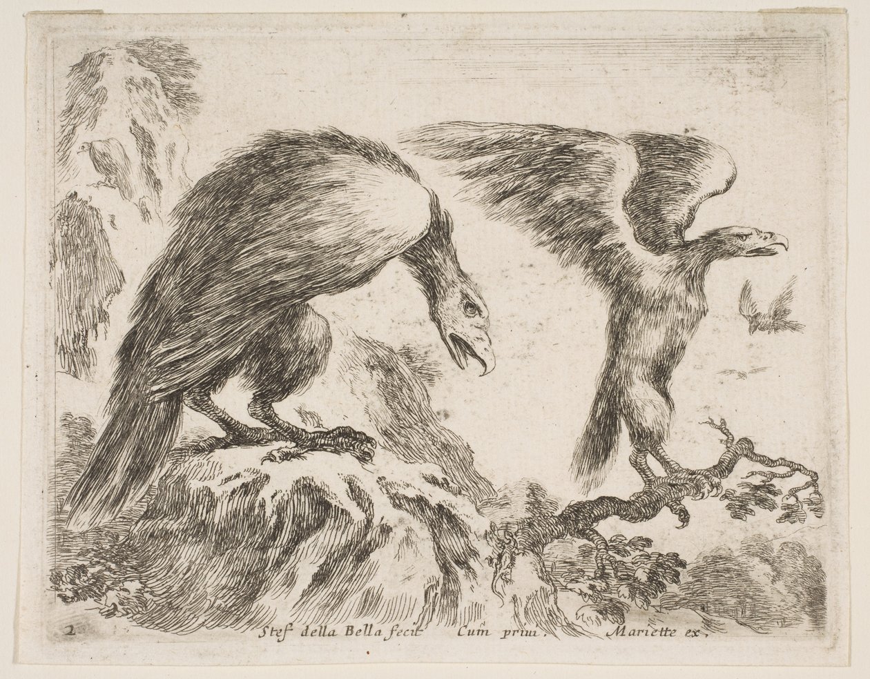 Tavla 2: örn och örn, från Diverse djur Diversi animali, ca. 1641. av Stefano della Bella