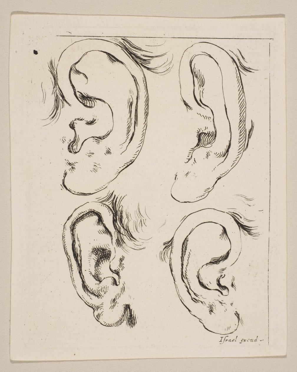 Plåt 5: fyra öron, från The Book for Learning to Draw Book for learning to draw..., ca. 1649. av Stefano della Bella