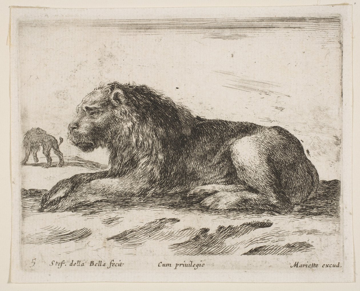 Plåt 5: liggande lejon, från Various animals Diversi animali, 1641. av Stefano della Bella