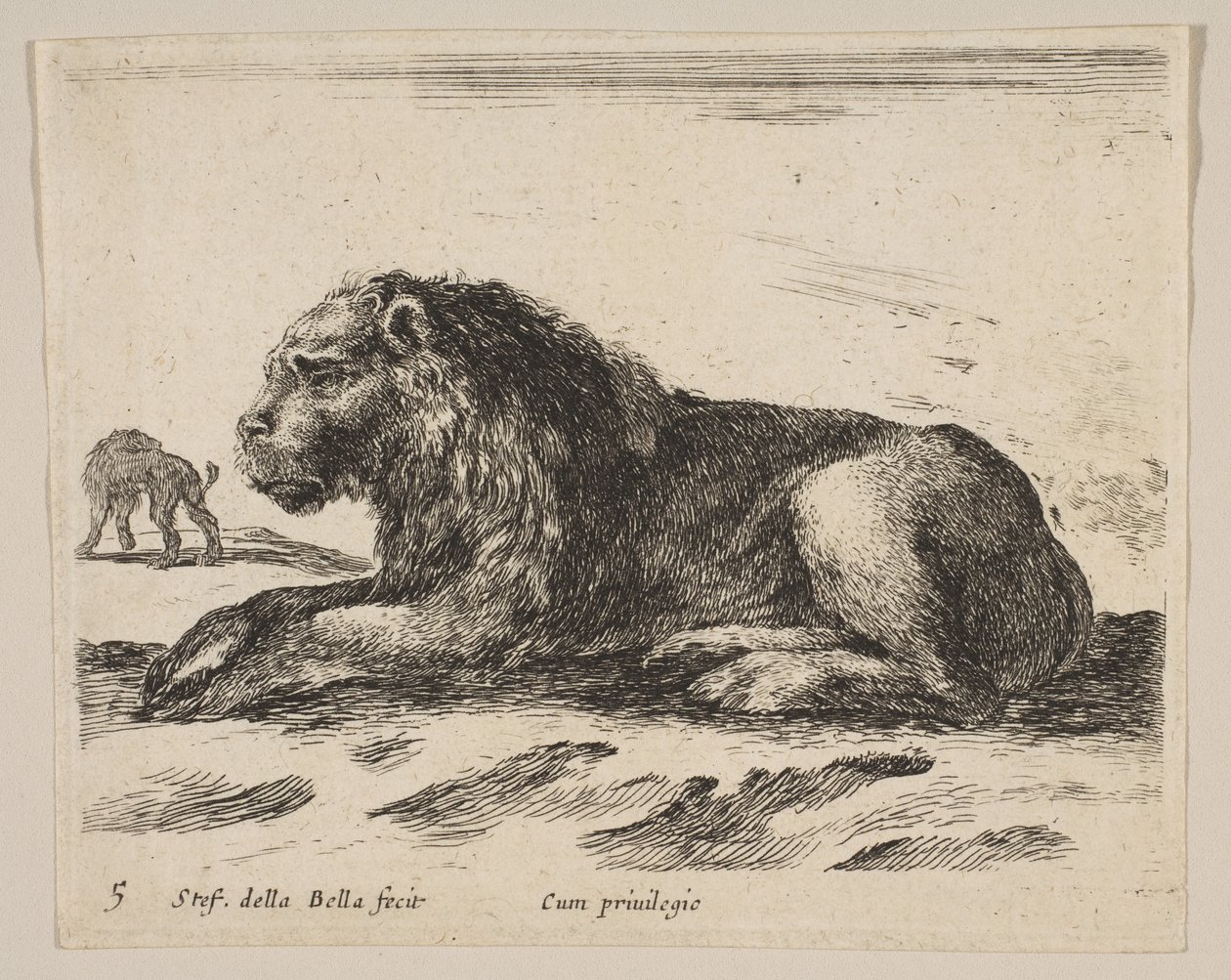 Tavla 5: liggande lejon, från Diverse djur Diversi animali, ca. 1641. av Stefano della Bella