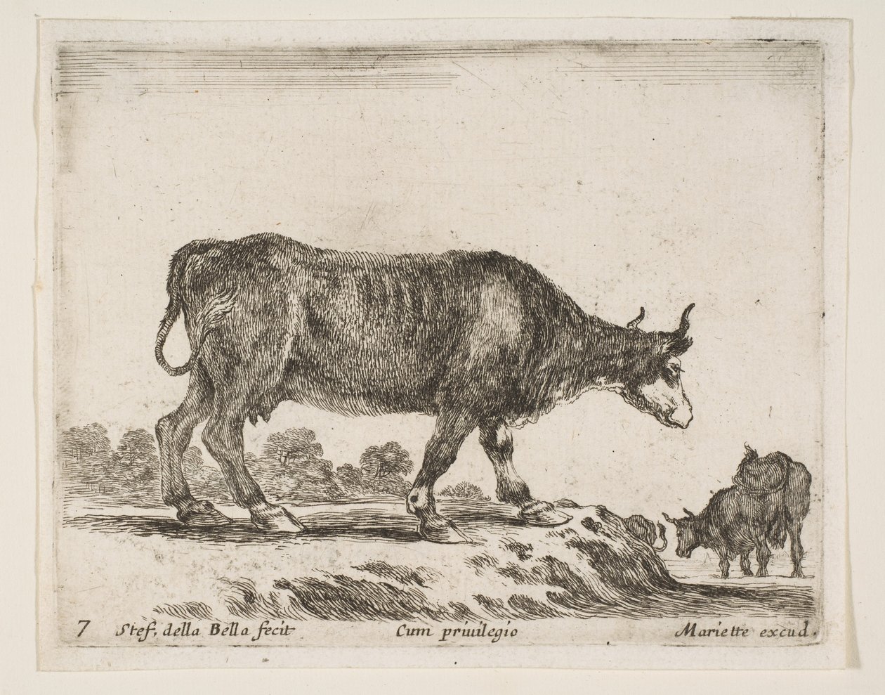 Tallrik 7: oxe, från Diverse djur Diversi animali, ca. 1641. av Stefano della Bella