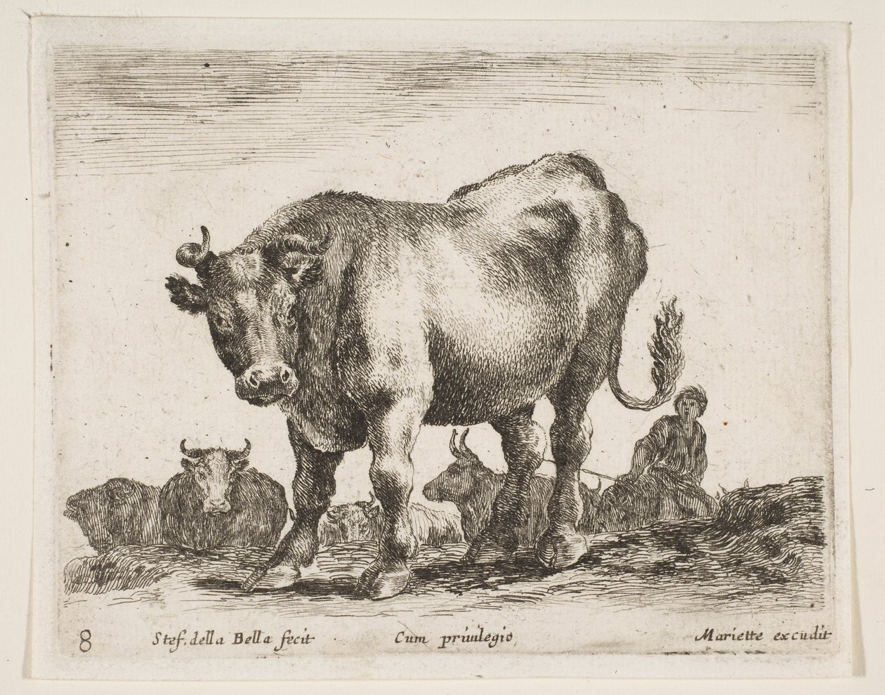 Tallrik 8: ko, från Diverse djur Diversi animali, ca. 1641. av Stefano della Bella