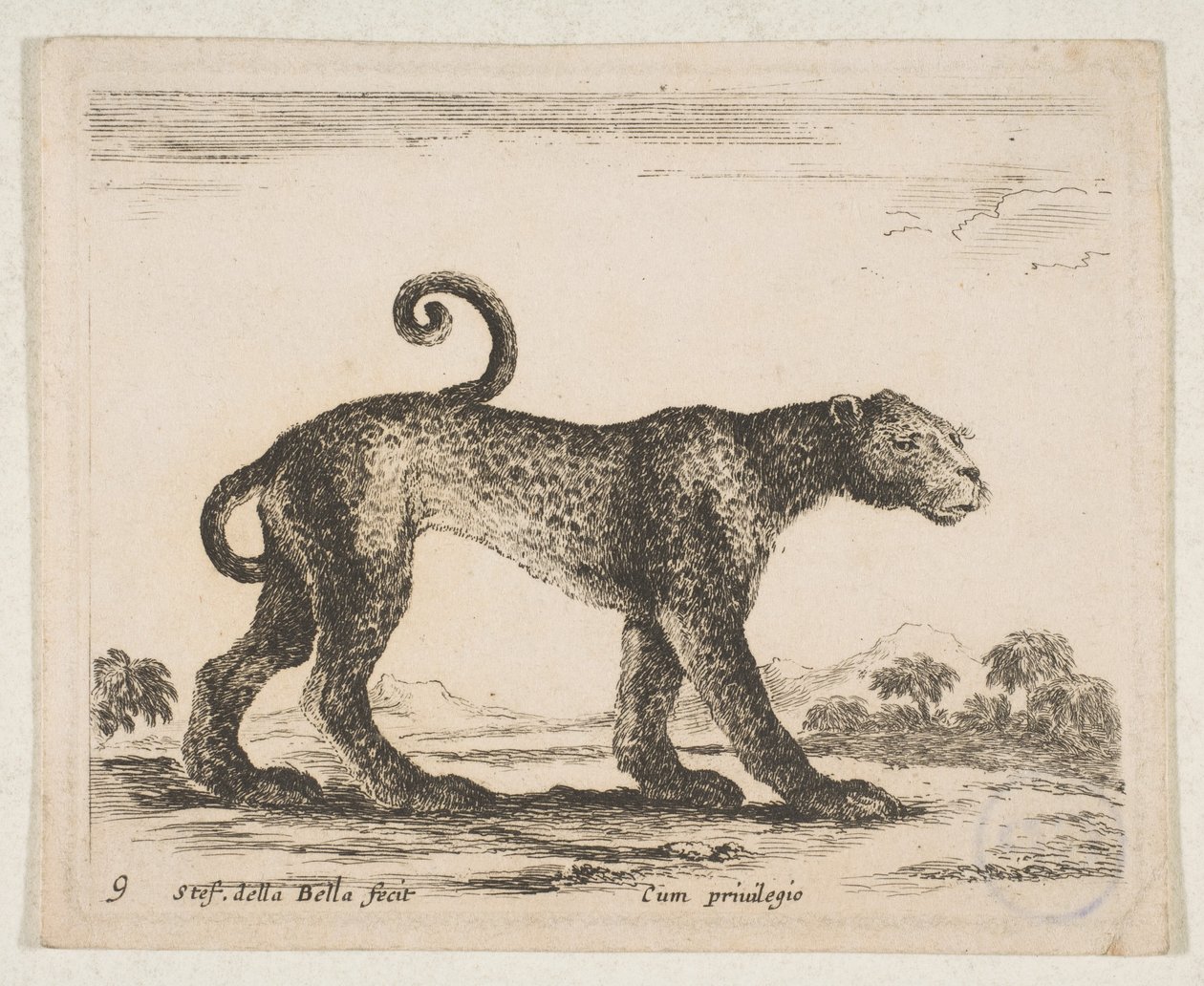 Tallrik 9: leopard, från 