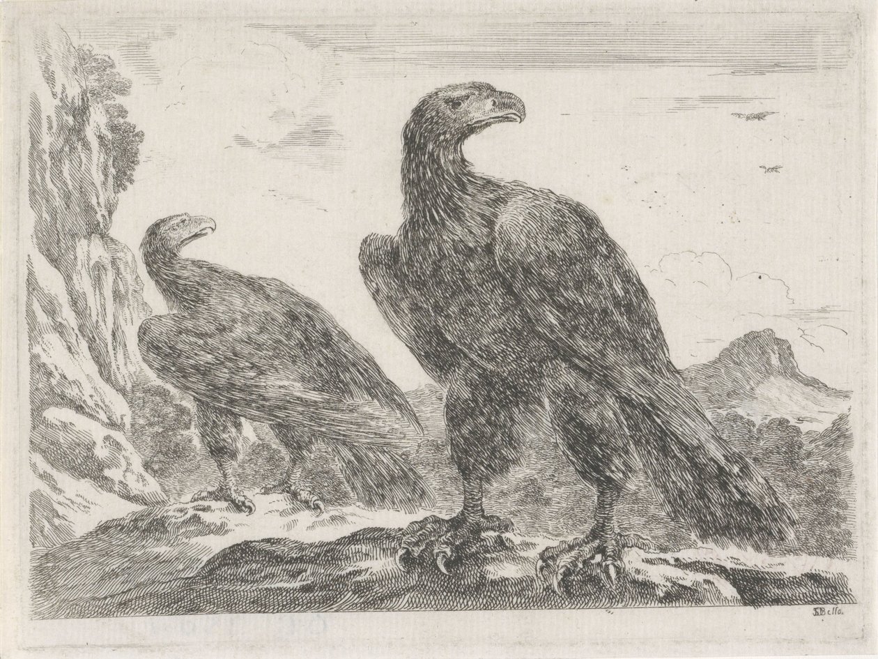 Två örnar med huvuden till höger Eagles (serietitel) av Stefano della Bella