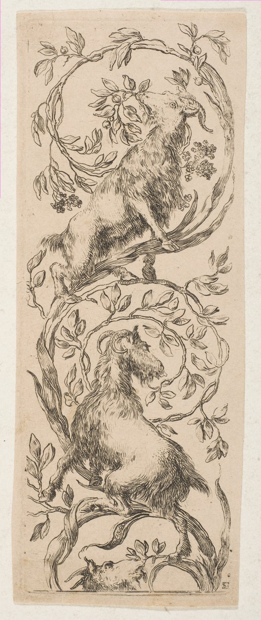 Två getnaggande grenar, ca. 1653. av Stefano della Bella