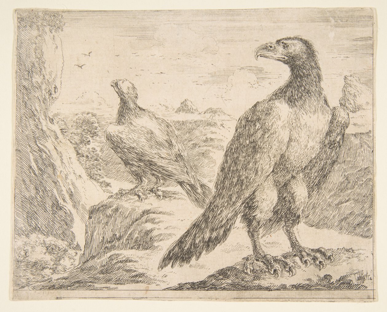 Två örnar, från Eagles Les aigles, ca. 1651. av Stefano della Bella