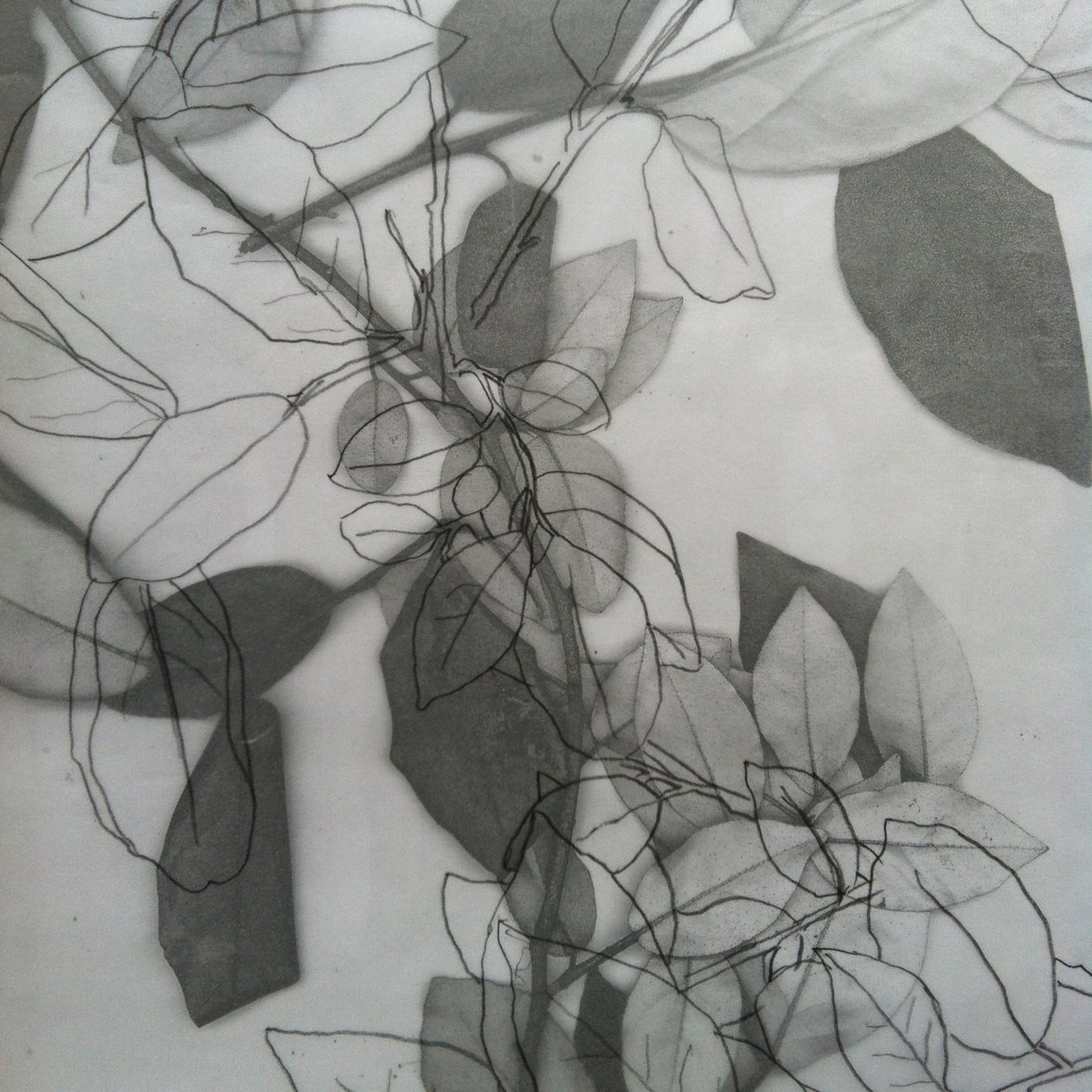 Botanisk, 2014 (digital) av Stephen Dow