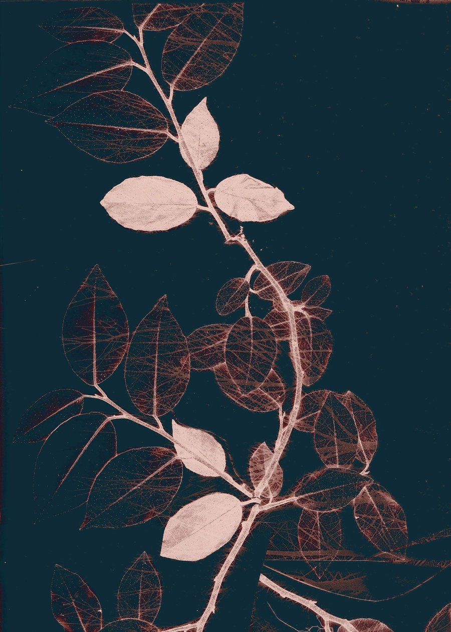 Freyr VII Dark Copper, 2018 (digital) av Stephen Dow