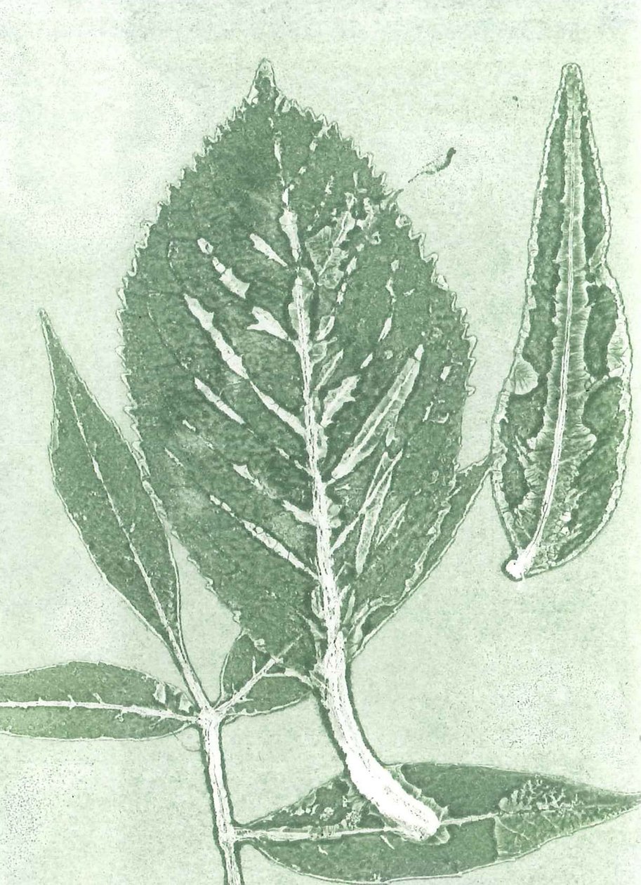 Gone IX, 2015 (monoprint på papper) av Stephen Dow