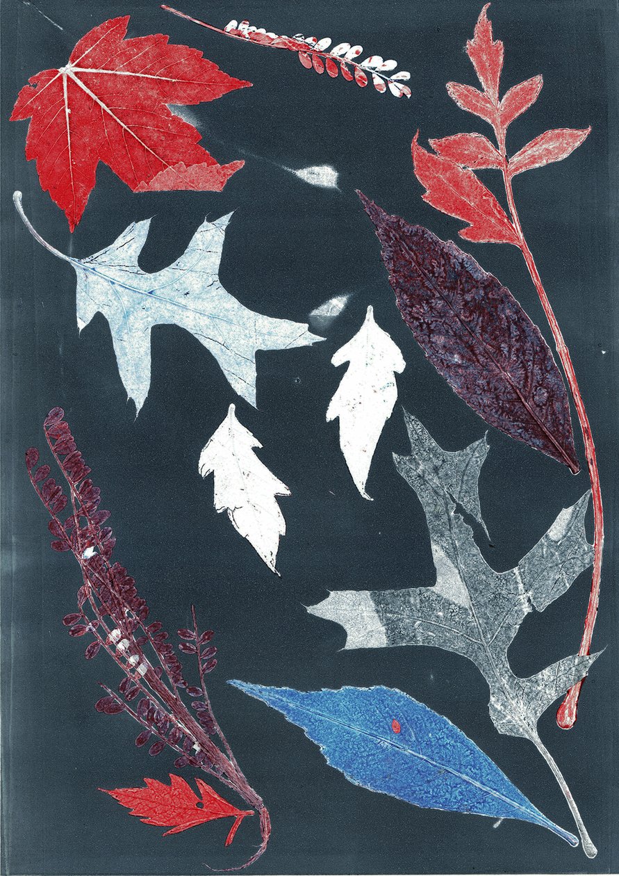 Jol X, 2017 (monoprint på papper) av Stephen Dow