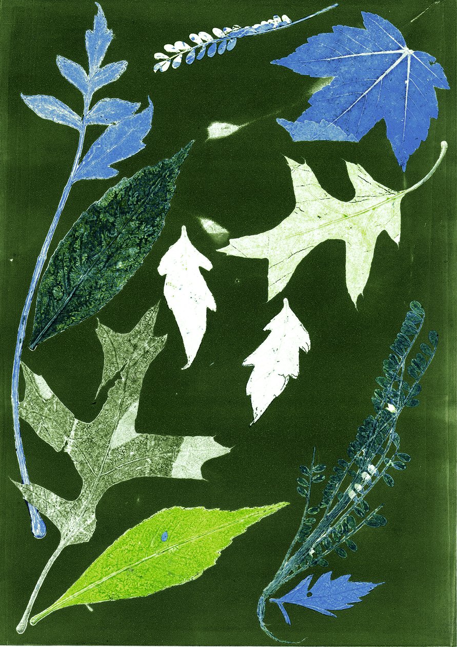 Jol X grön, 2017 (digital) av Stephen Dow