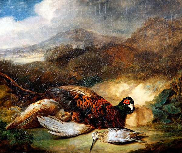 Fasan och skogssnäppa i ett landskap (olja på duk) av Stephen Elmer