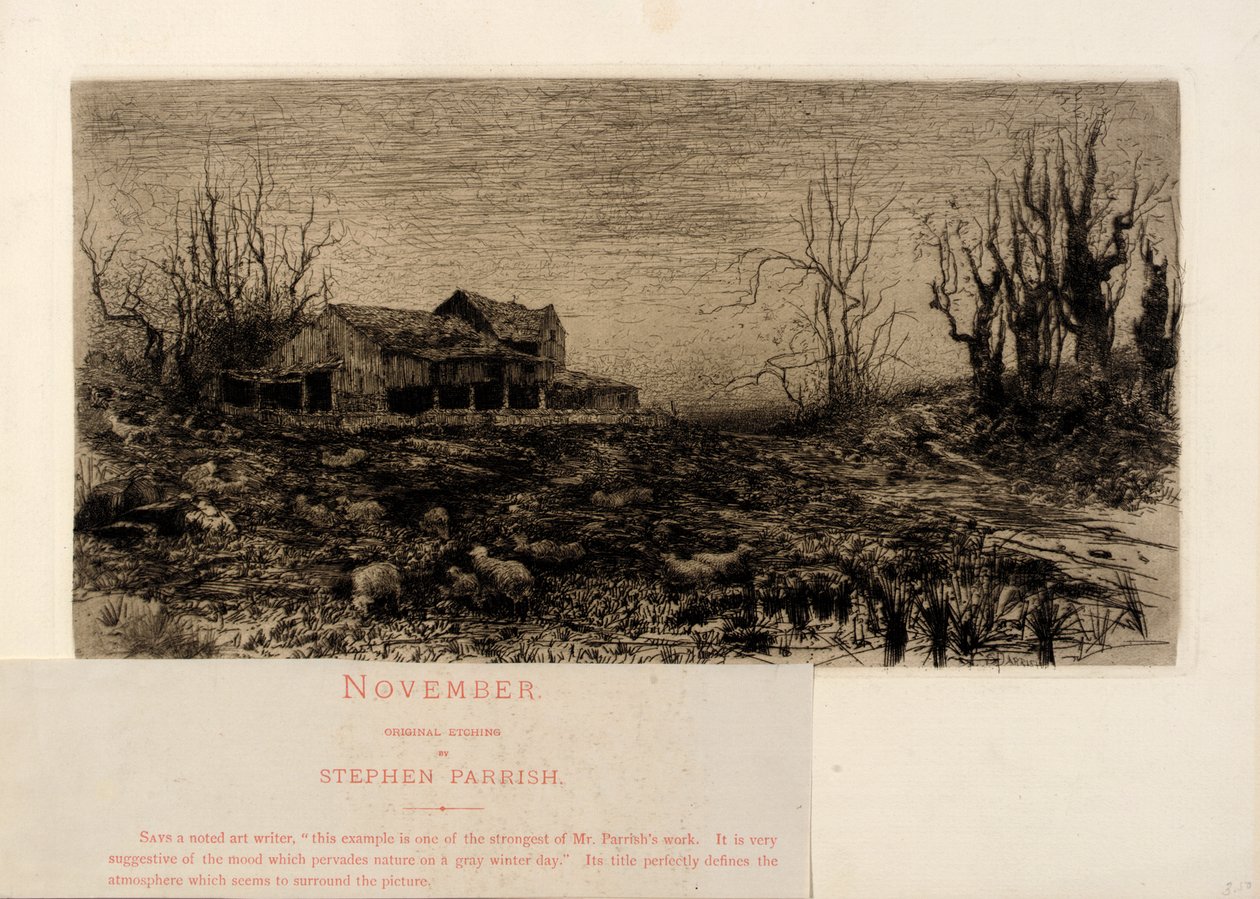 November av Stephen Parrish