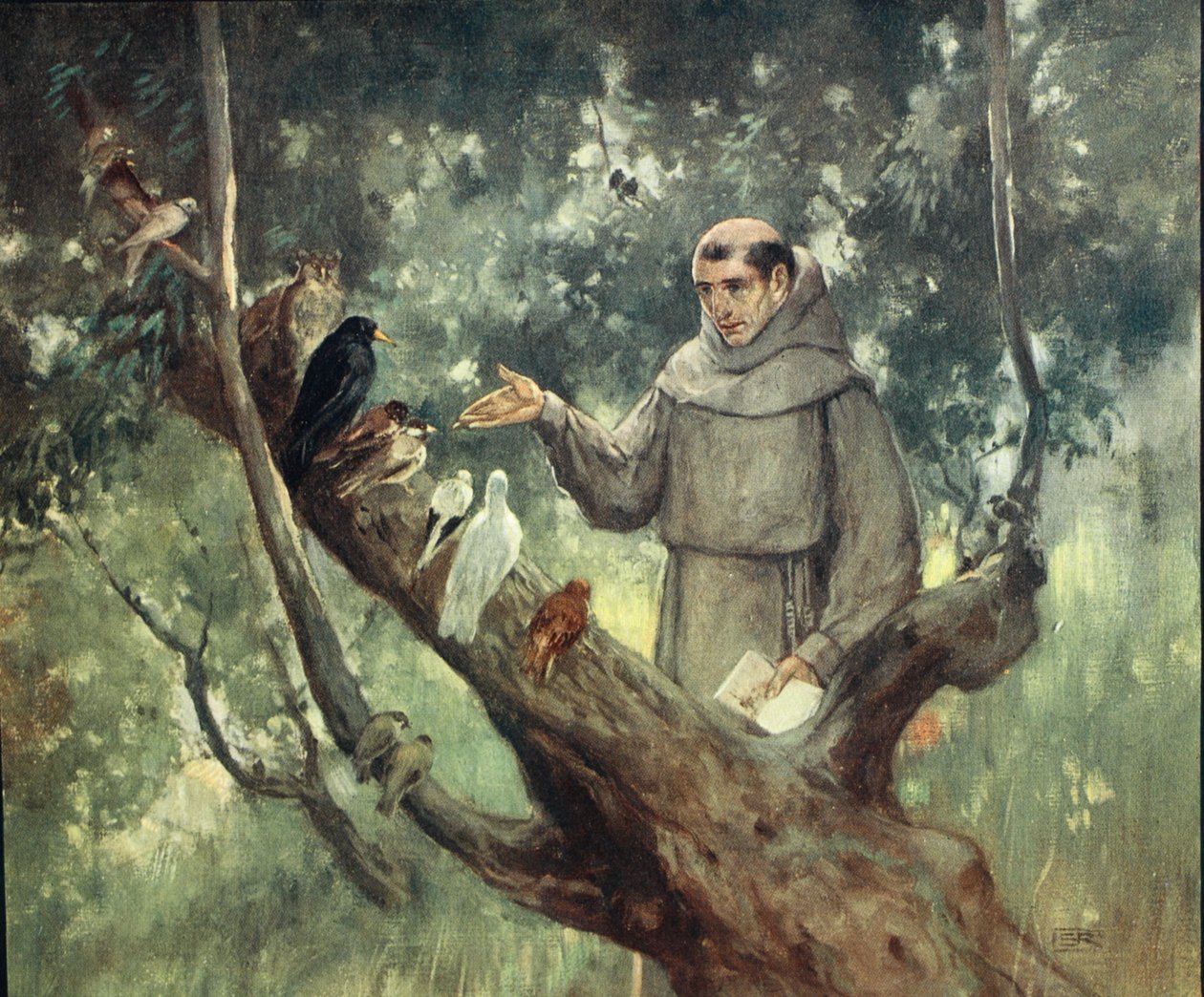 Saint Francis predikar för fåglarna, illustration från 