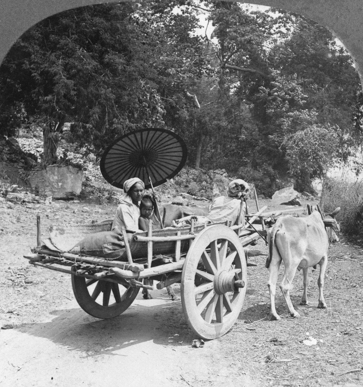 Familj på resa genom djungeln nära Mingun, Burma, 1908 av Stereo Travel Co