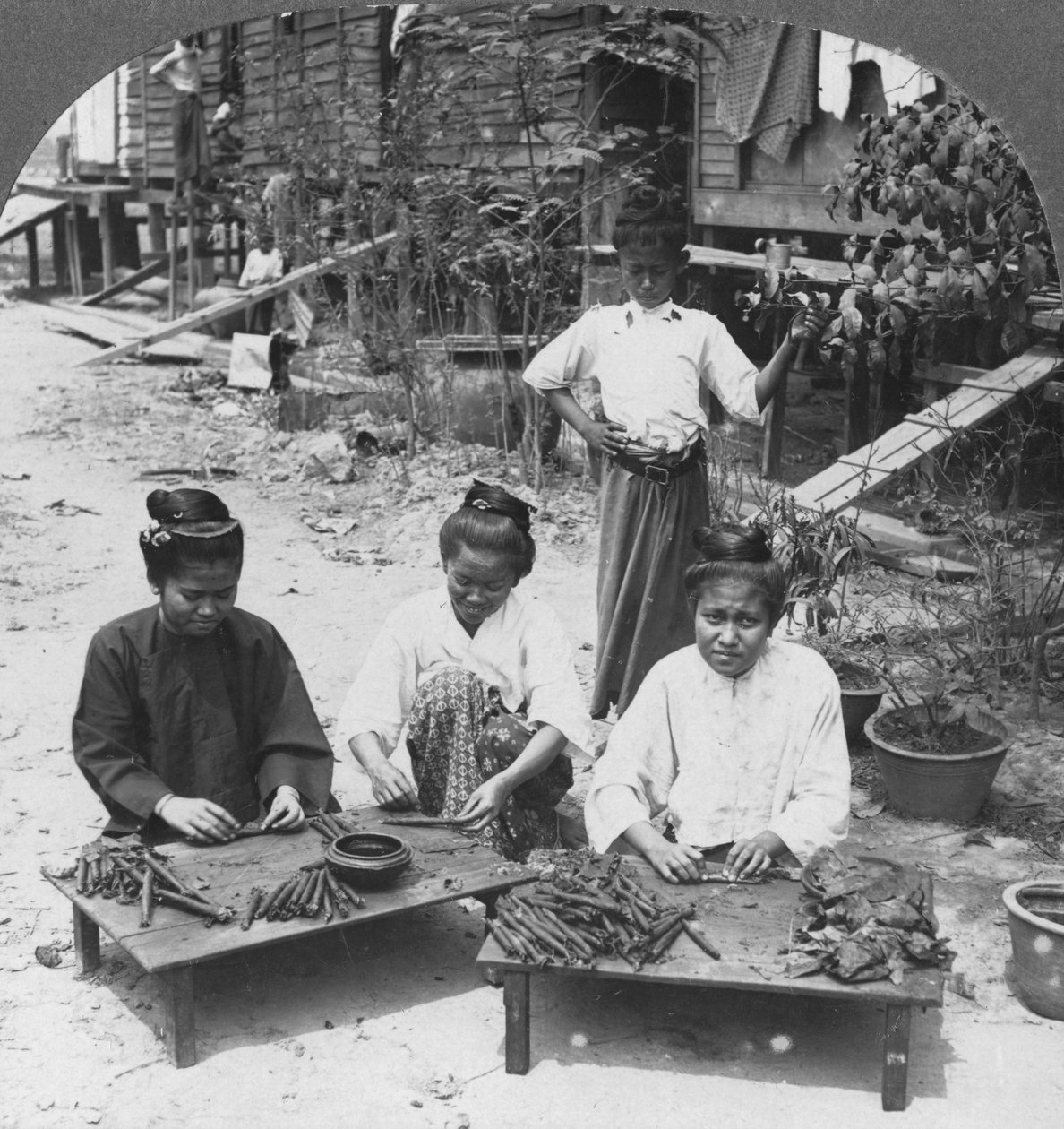 Att göra de enorma cigarrerna rökta av kvinnor, Burma, 1908 av Stereo Travel Co