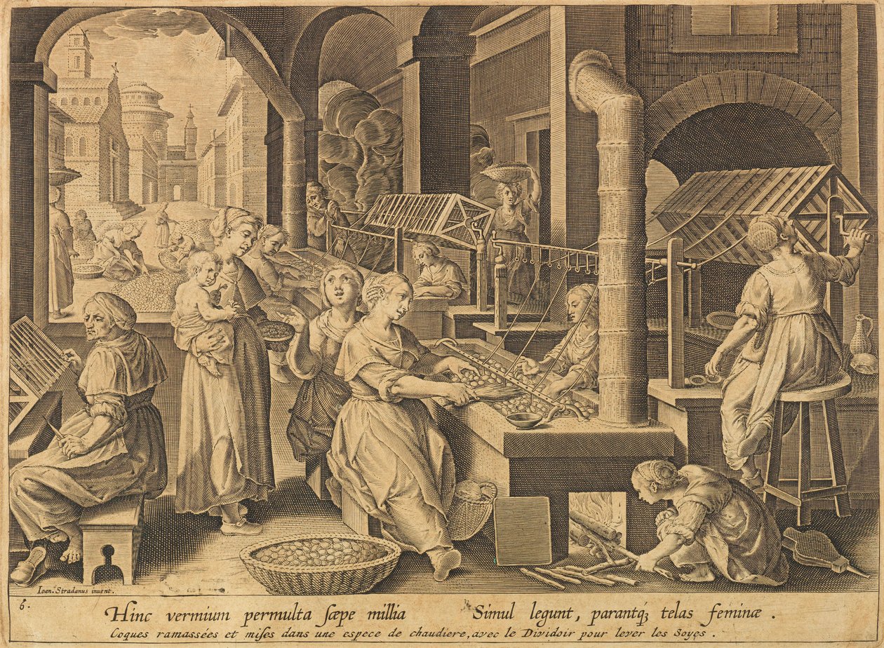 Silkesextraktion Vermis sericus, efter 1640. av Stradanus
