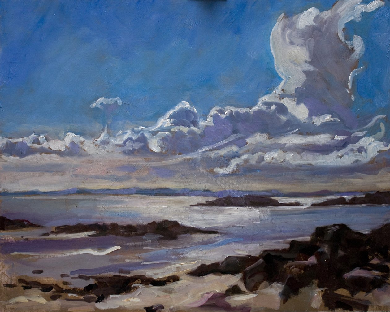 Sen eftermiddag i Galloway, 2010, av Sue Wales