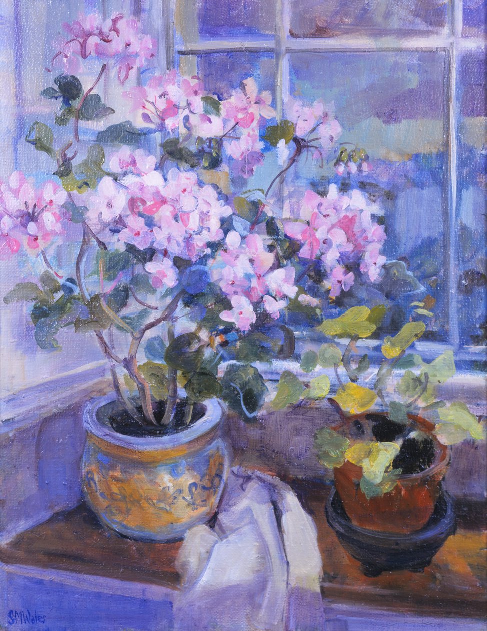 Rosa pelargon på fönstersits, 1996, av Sue Wales
