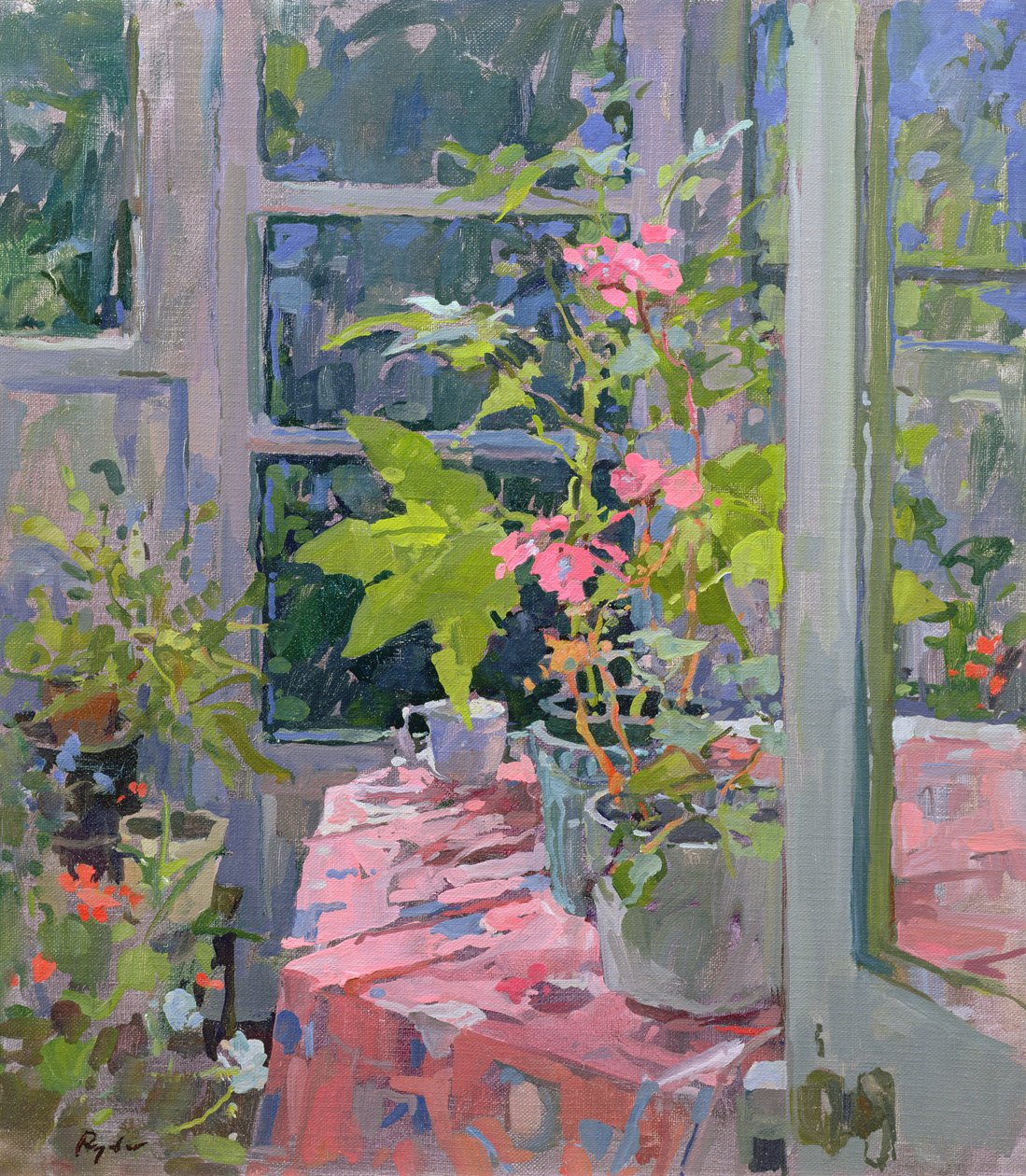 Pelargoner och rosa tyg av Susan Ryder