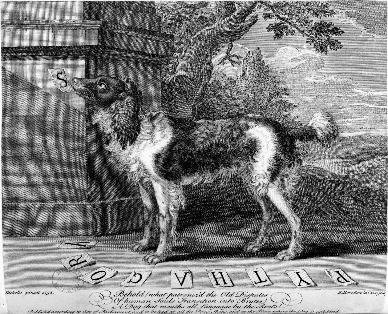 The New Chien Savant, eller Learned Dog, tryck gjord av F-Morellon la Cave, 1752 av Sutton Nicholls
