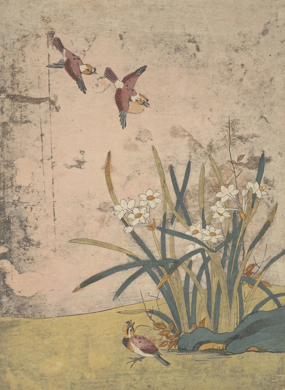 Fåglar och Narcissus. av Suzuki Harunobu