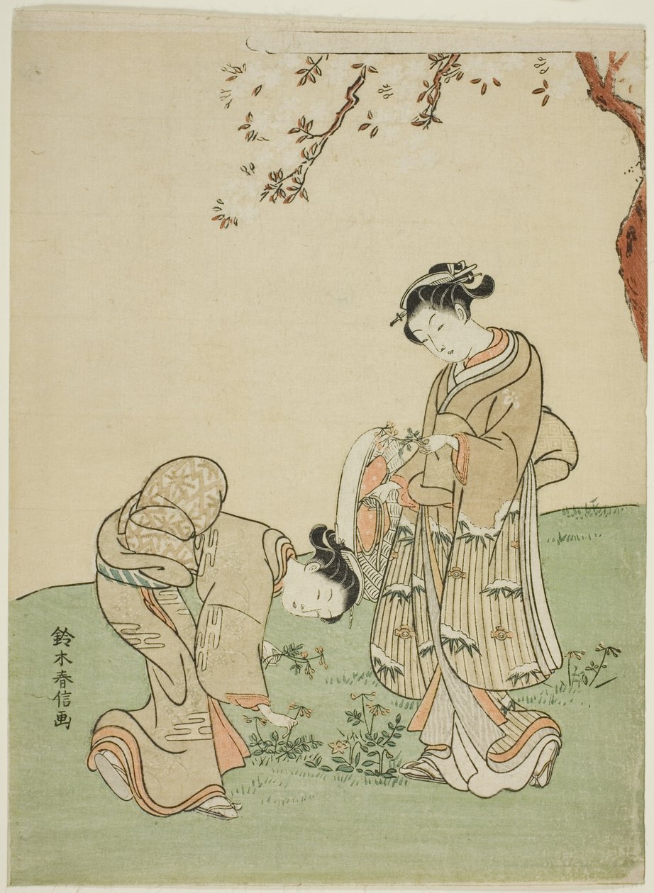 Samla vårblommor av Suzuki Harunobu
