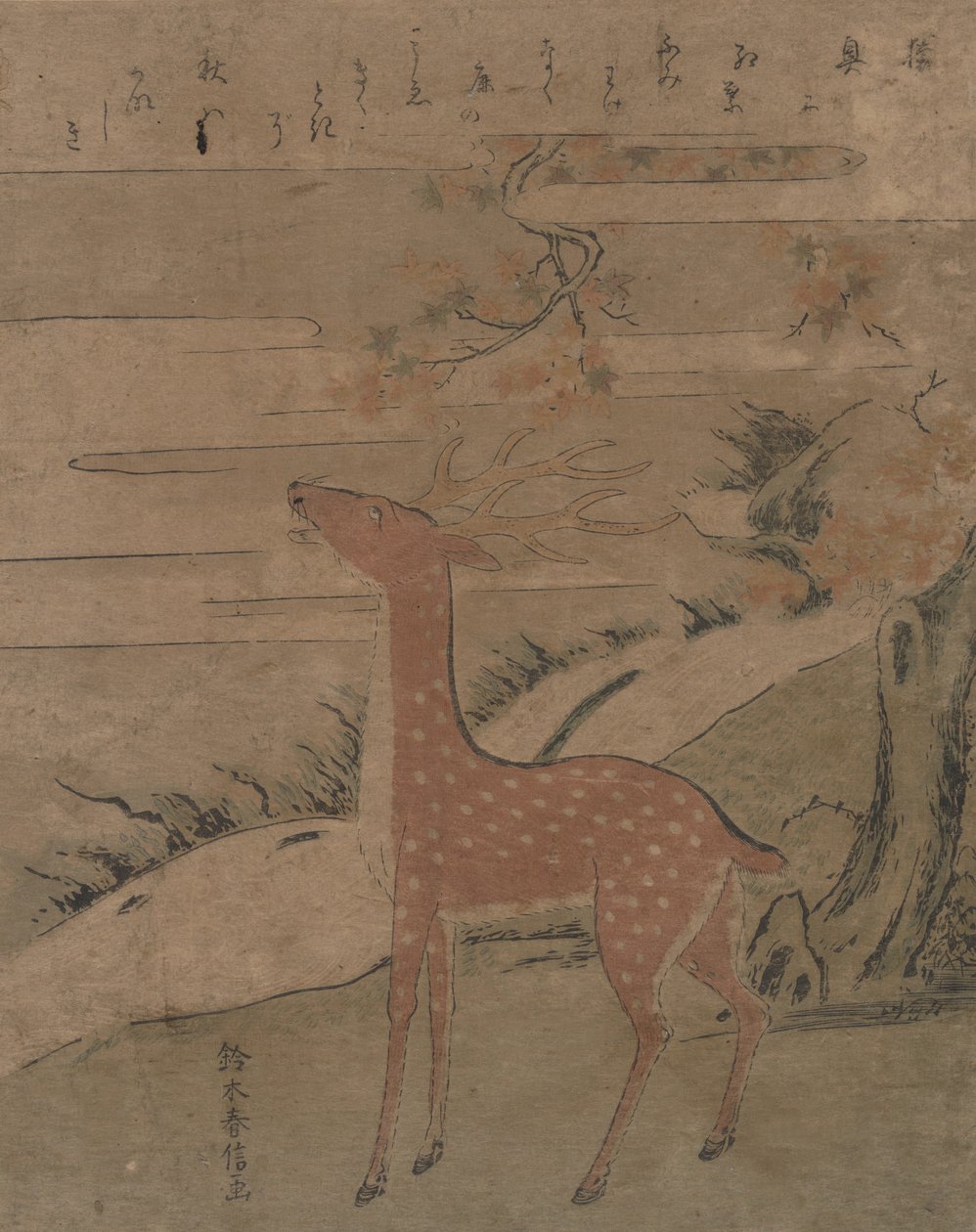 The Cry of the Stag, ca. 1760., ca. 1760. av Suzuki Harunobu