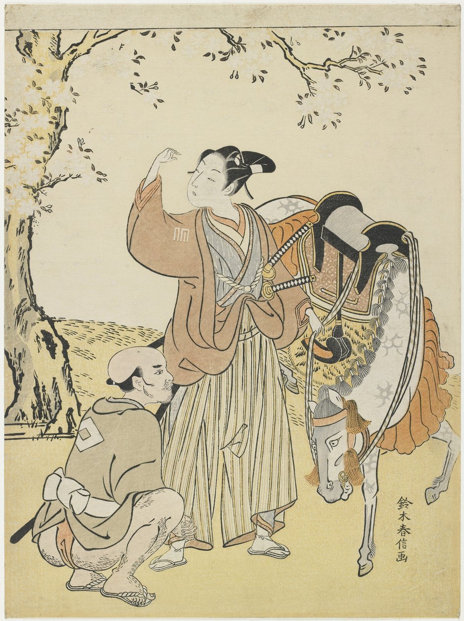 Unga samurajer som ser körsbärsblommor som en mildring av prins Kaoru, ca. 1767 av Suzuki Harunobu