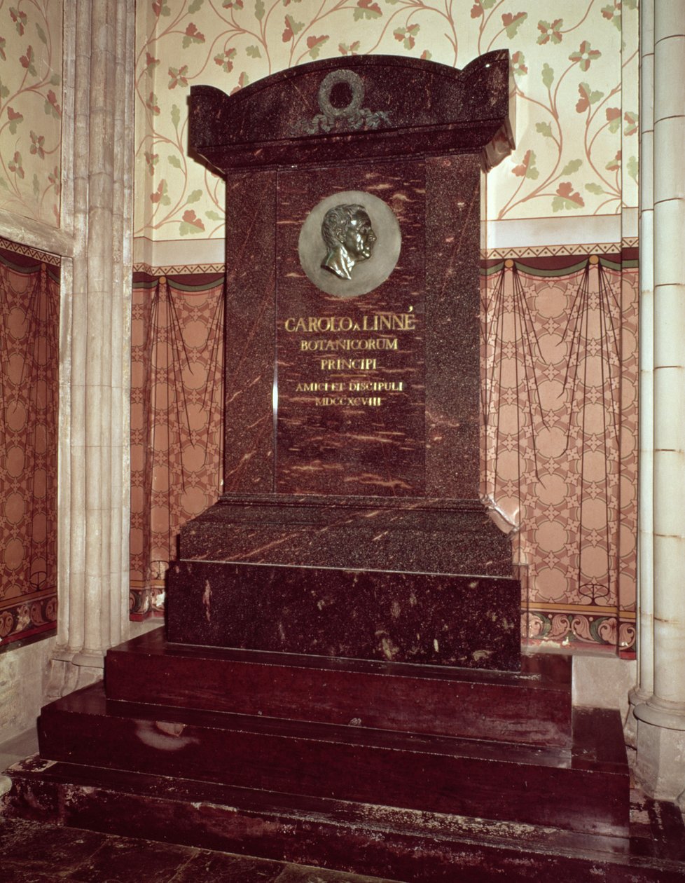 Carl Linnés grav (1707-78) av Swedish School