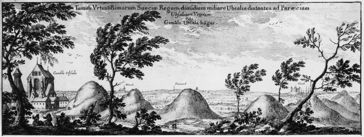 Gravhögar i Uppsala, Sverige av Swedish School