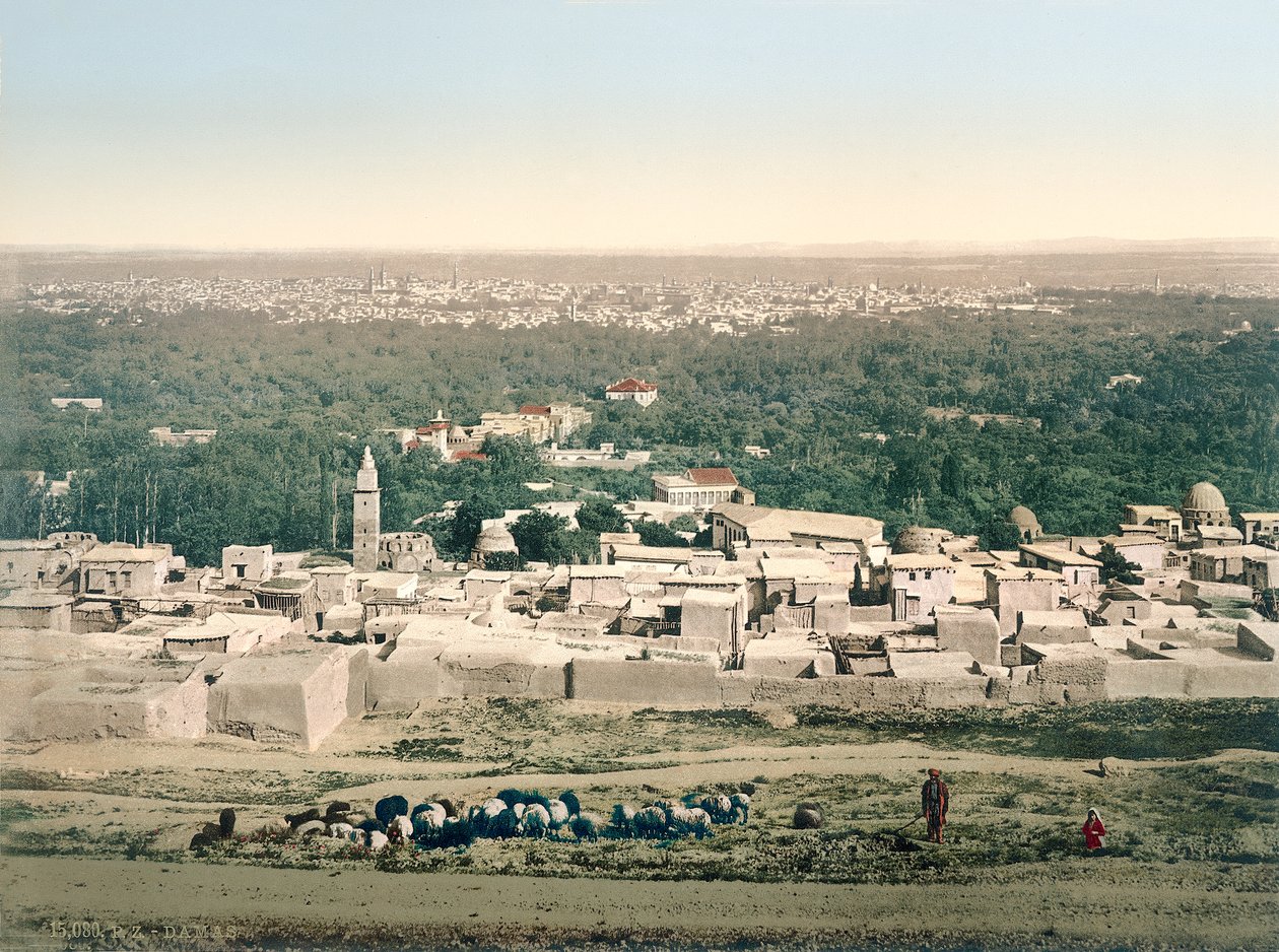 Allmän bild av Damaskus, ca 1880-1900 (fotokrom) av Swiss Photographer