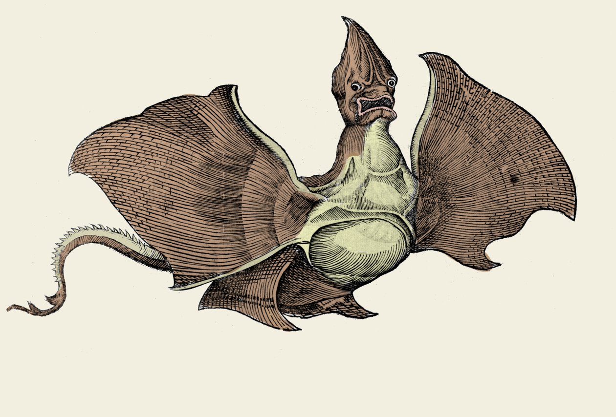 Fantastiskt havsmonster, illustration från 