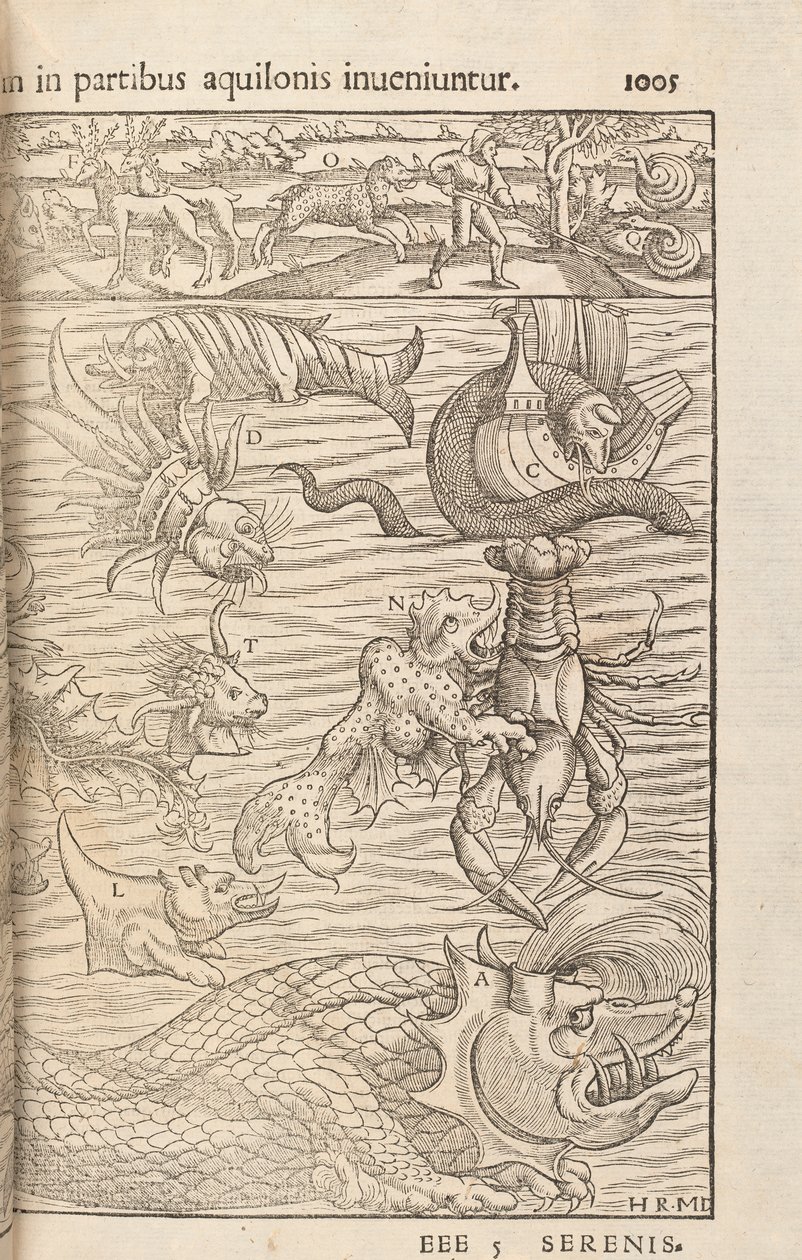 Sida 1005 från Cosmographiae Universalis av Sebastian Muenster, Basel, 1572 av Swiss School
