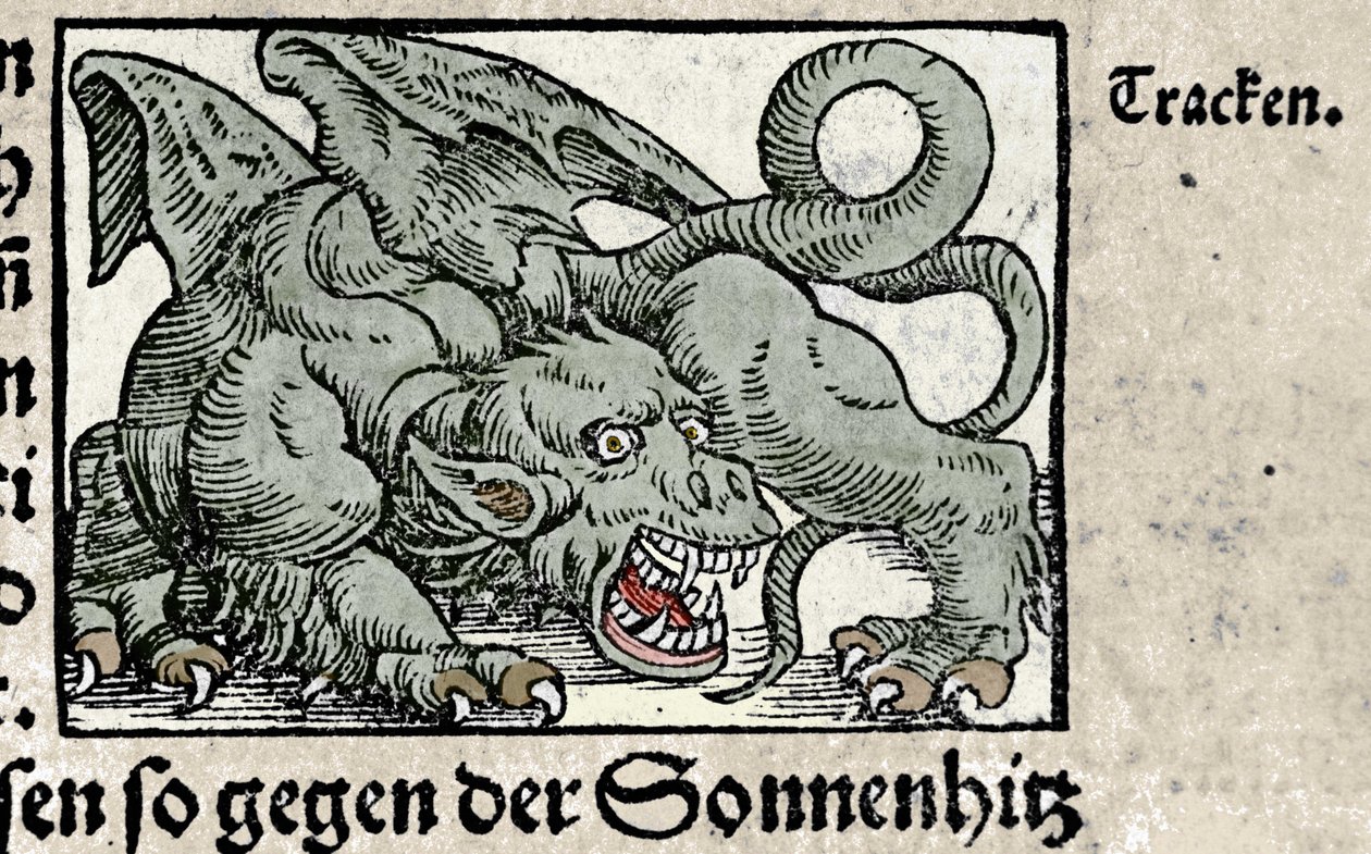 Representation av en drake: gravyr från Johann Stumpffs "Den Noble Strict Best Fromen". 1550 av Swiss School