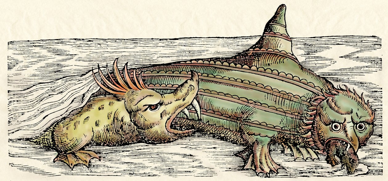 Havsdjur, illustration från "Historiae Animalium" av Conrad Gesner av Swiss School