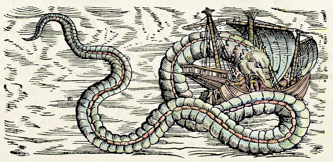 Sjöodjur, illustration från "Historiae Animalium" av Conrad Gesner av Swiss School