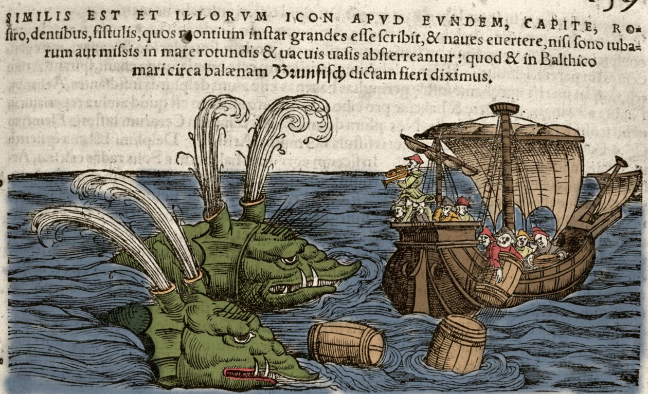 Havsmonster, illustration från 