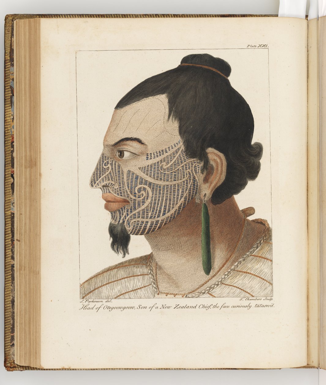 Chef för Otegoongoon, illustration från A journal of a voyage to the South Seas: in His Majestys ship, the Endeavour, 1794 (handfärgad gravyr) av Sydney