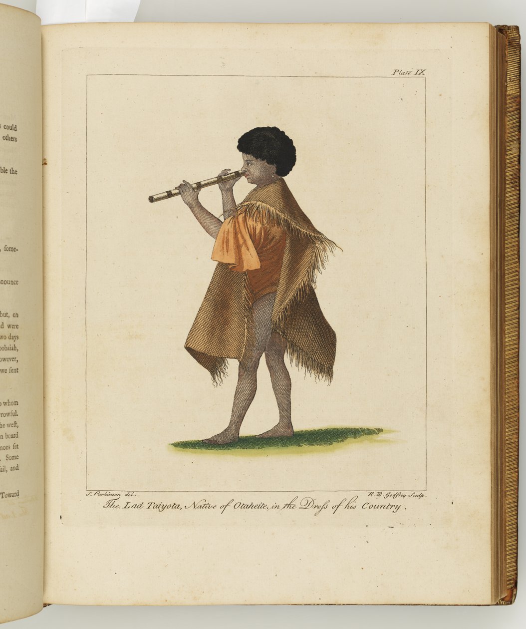 Illustration från A journal of a voyage to the South Seas: in His Majestys ship, the Endeavour, 1794 (handkolorerad gravyr) av Sydney