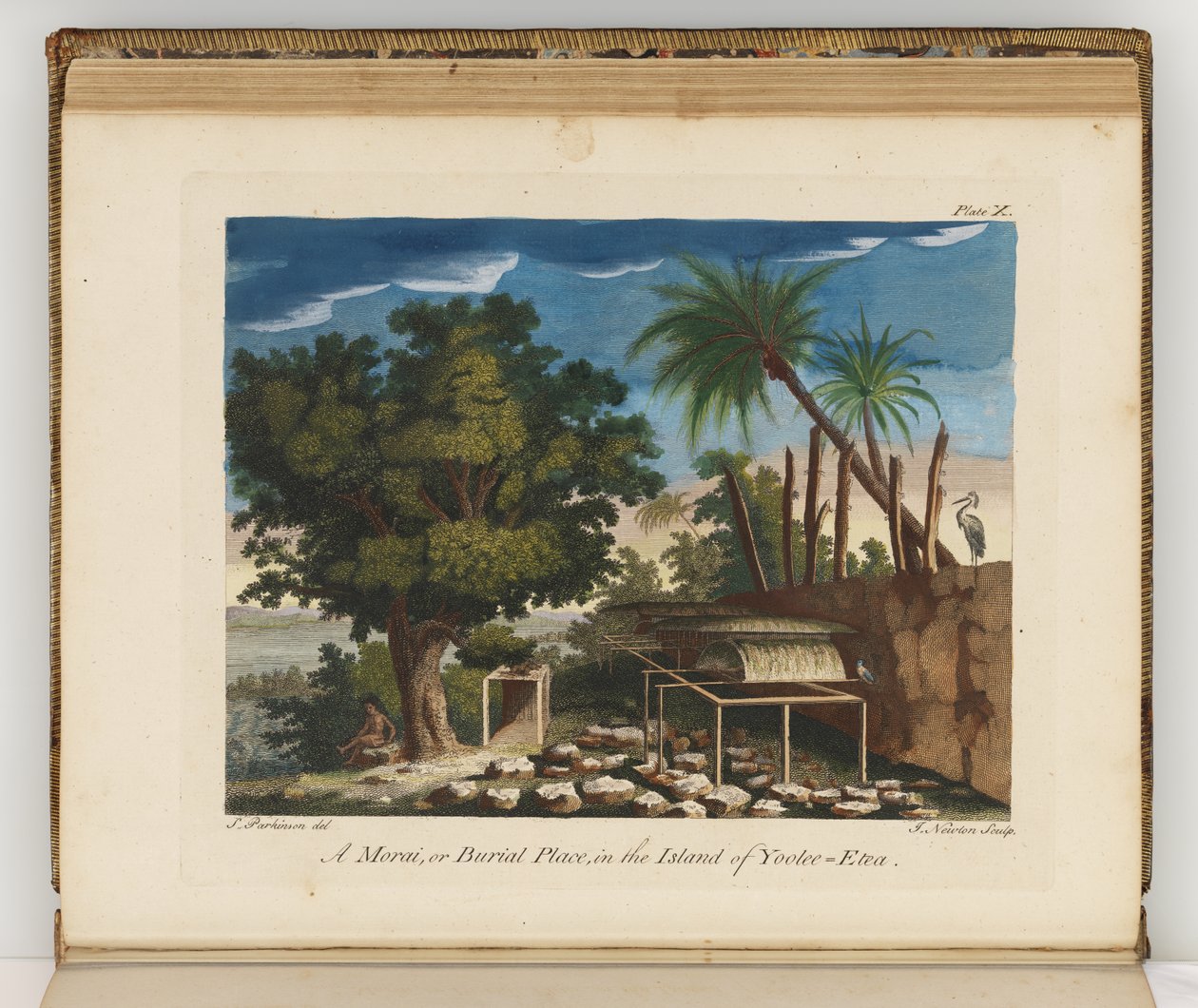 Illustration från A journal of a voyage to the South Seas: in His Majestys ship, the Endeavour, 1794 (handkolorerad gravyr) av Sydney