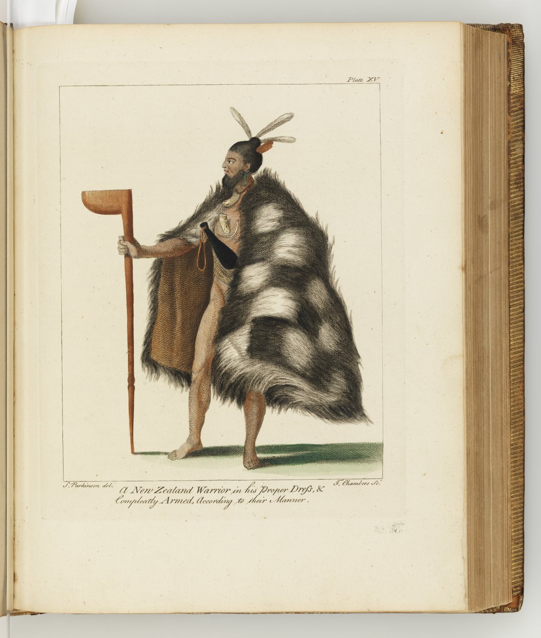 Illustration från A journal of a voyage to the South Seas: in His Majestys ship, the Endeavour, 1794 (handkolorerad gravyr) av Sydney