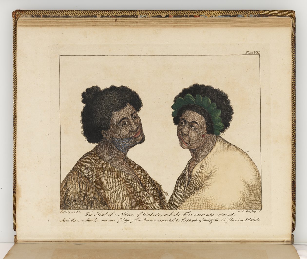 Huvudet av en infödd i Otaheite, illustration från A journal of a voyage to the South Seas: in His Majestys ship, the Endeavour, 1794 (handkolorerad gravyr) av Sydney