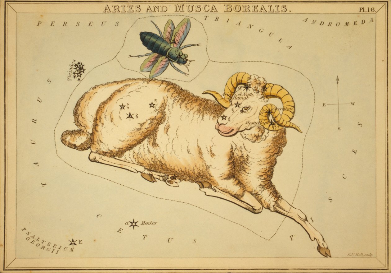 Väduren och Musca Borealis, Illustration från "Uranias spegel" av Sydney Hall