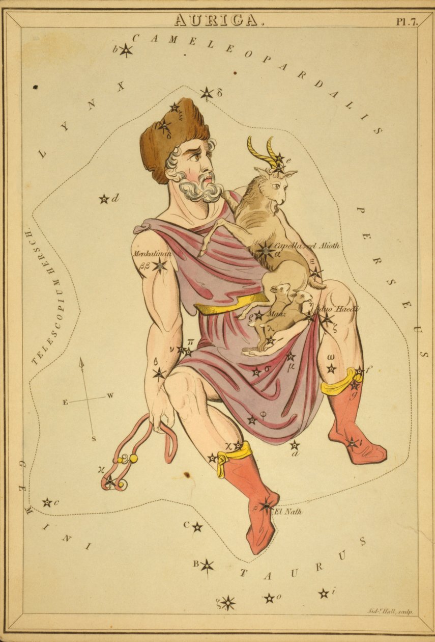 Auriga, Illustration från 