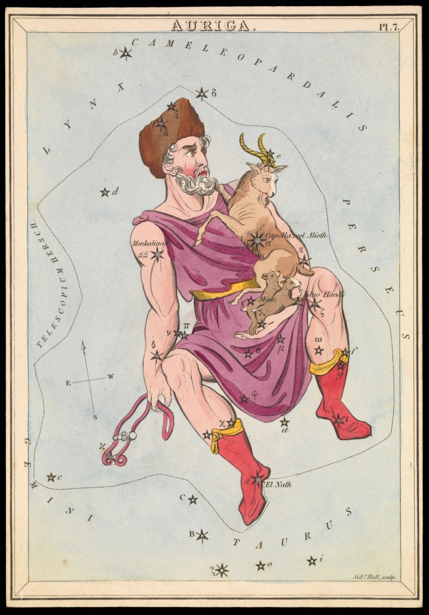 Auriga, ca 1825 (kort, papper, vävnad ) av Sydney Hall