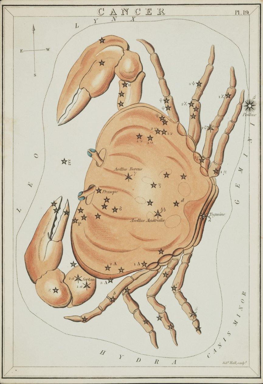 Kräftan, illustration från "Uranias spegel" av Sydney Hall