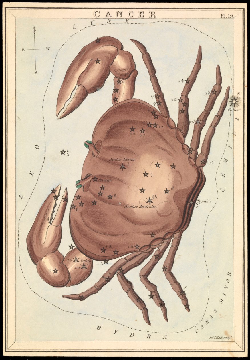 Cancer, ca 1825 (kort, papper, vävnad ) av Sydney Hall