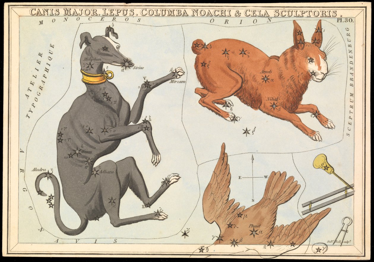 Canis Major. Lepus, Columba Noachi  Cela Sculptoris, ca 1825 (kort, papper, vävnad ) av Sydney Hall