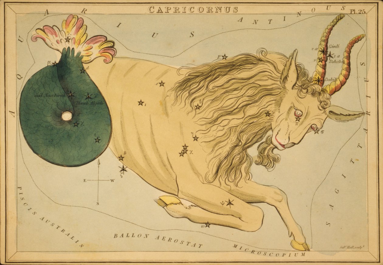 Capricornus, Illustration från 